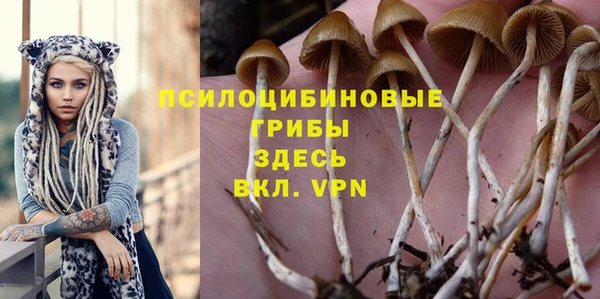 экстази Лагань