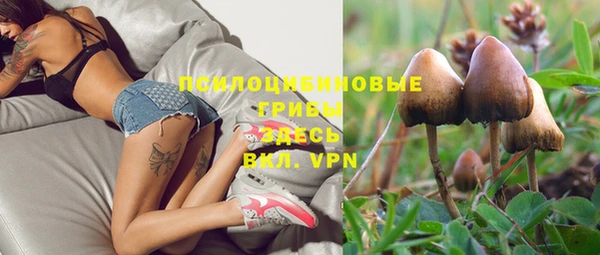 экстази Лагань