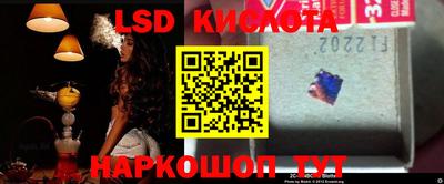трава Камышлов