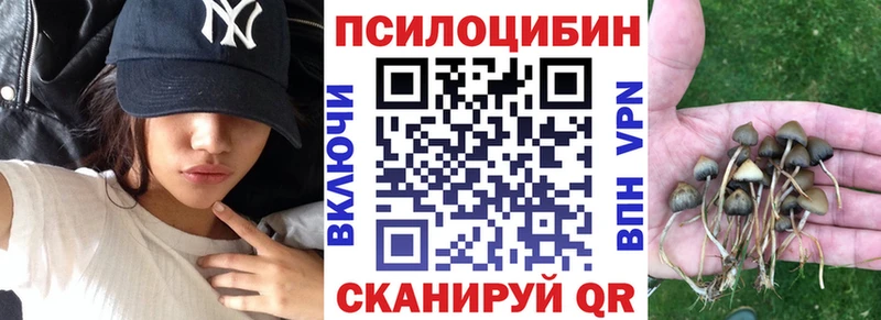 купить наркотики цена Узловая Псилоцибиновые грибы прущие грибы