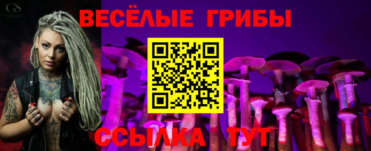 Галлюциногенные грибы Cubensis  Псилоцибиновые грибы Psilocybine cubensis  Узловая  Вход с VPN 
